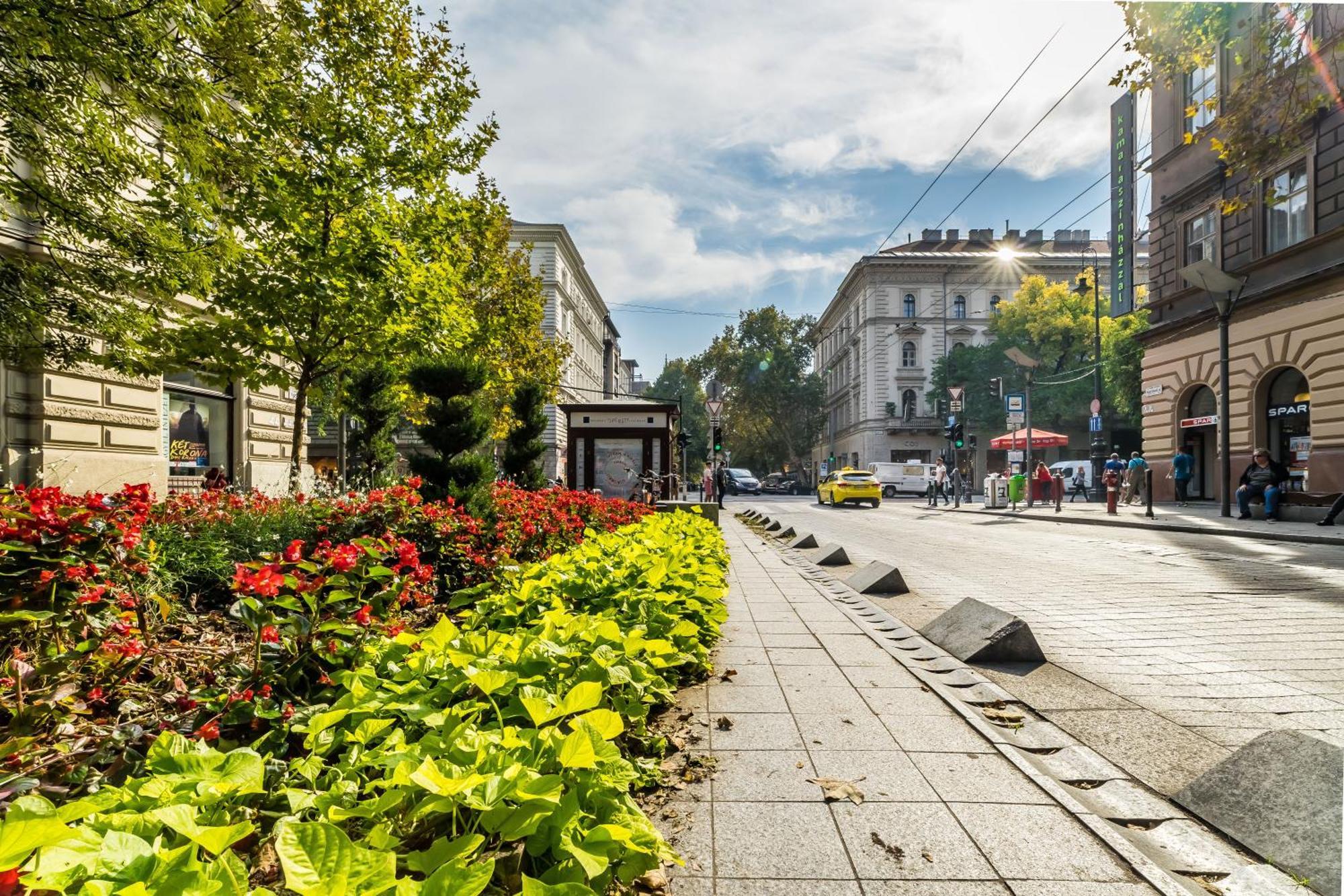 Cozy Little Flat In The City Center Budapešť Exteriér fotografie